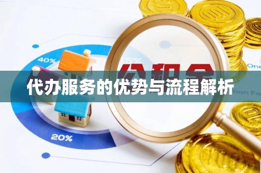 乐安代办服务的优势与流程解析