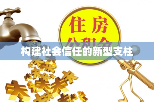 乐安构建社会信任的新型支柱