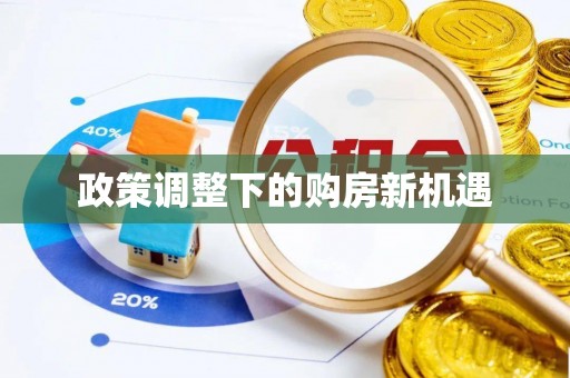 乐安政策调整下的购房新机遇