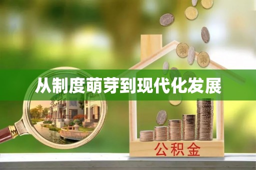 乐安从制度萌芽到现代化发展