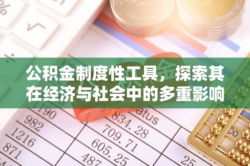 乐安公积金制度性工具，探索其在经济与社会中的多重影响