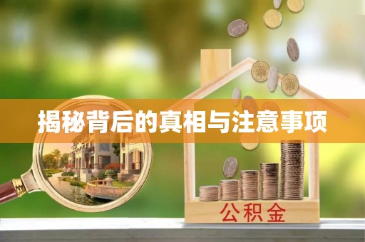 乐安揭秘背后的真相与注意事项