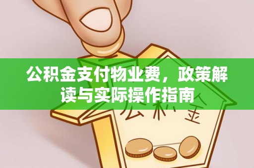 乐安公积金支付物业费，政策解读与实际操作指南