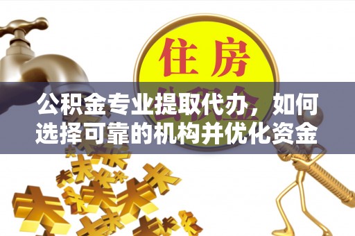 乐安公积金专业提取代办，如何选择可靠的机构并优化资金使用