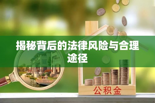 乐安揭秘背后的法律风险与合理途径