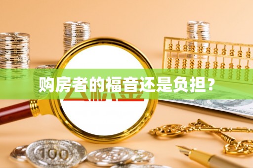 乐安购房者的福音还是负担？