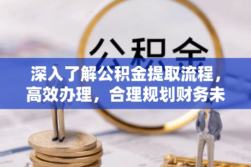 乐安深入了解公积金提取流程，高效办理，合理规划财务未来