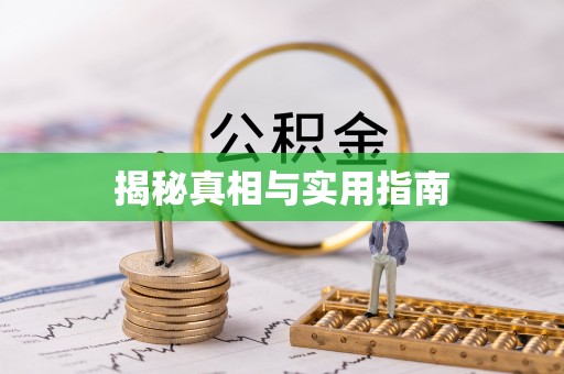 乐安揭秘真相与实用指南