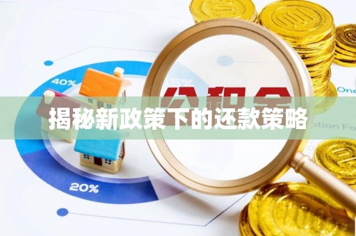乐安揭秘新政策下的还款策略
