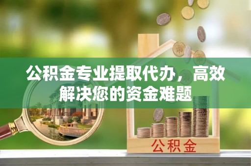 乐安公积金专业提取代办，高效解决您的资金难题