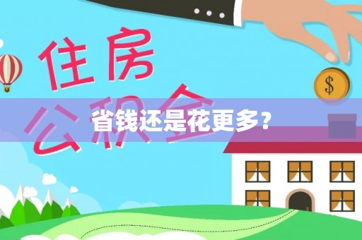 乐安省钱还是花更多？