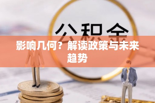 乐安影响几何？解读政策与未来趋势