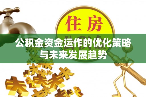 乐安公积金资金运作的优化策略与未来发展趋势