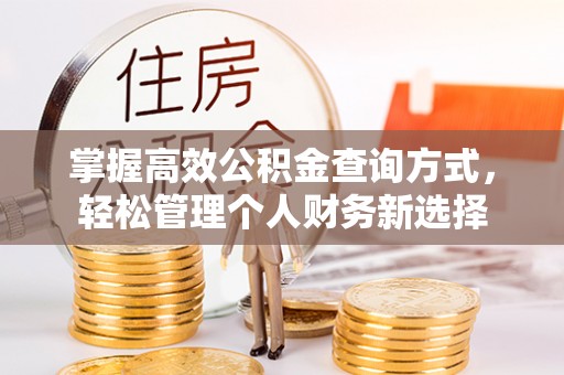 乐安掌握高效公积金查询方式，轻松管理个人财务新选择