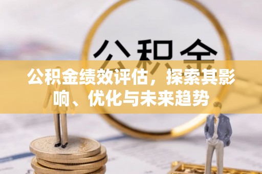 乐安公积金绩效评估，探索其影响、优化与未来趋势