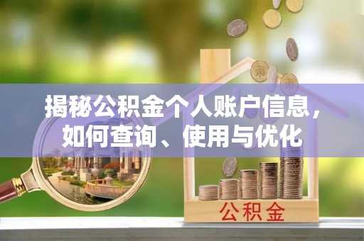 乐安揭秘公积金个人账户信息，如何查询、使用与优化