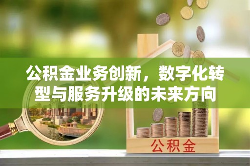 乐安公积金业务创新，数字化转型与服务升级的未来方向