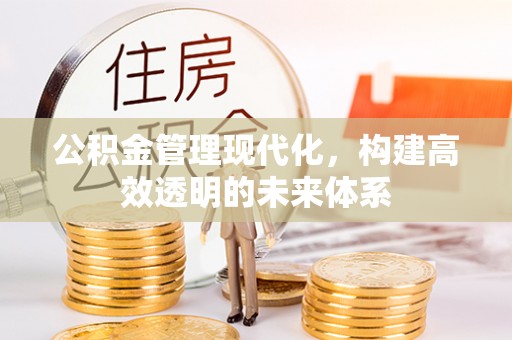 乐安公积金管理现代化，构建高效透明的未来体系