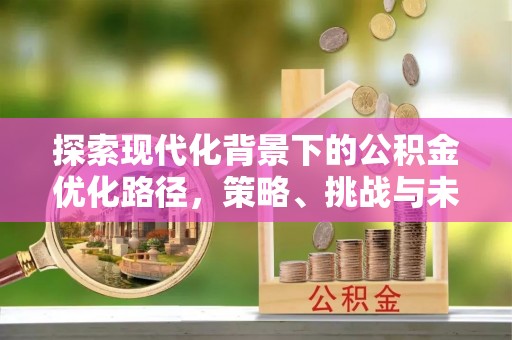 乐安探索现代化背景下的公积金优化路径，策略、挑战与未来展望