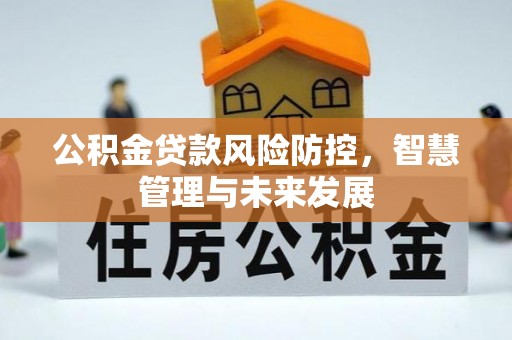 乐安公积金贷款风险防控，智慧管理与未来发展