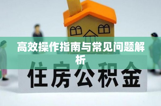 乐安高效操作指南与常见问题解析