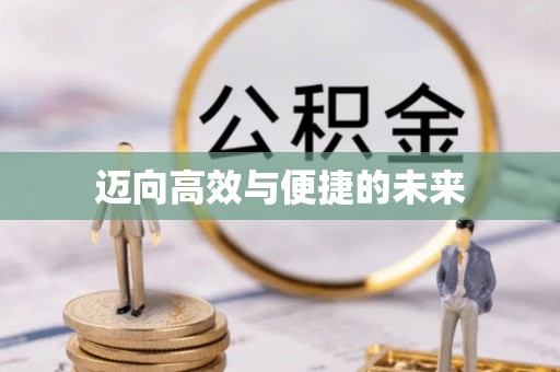乐安迈向高效与便捷的未来