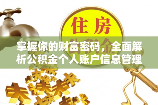 乐安掌握你的财富密码，全面解析公积金个人账户信息管理与优化
