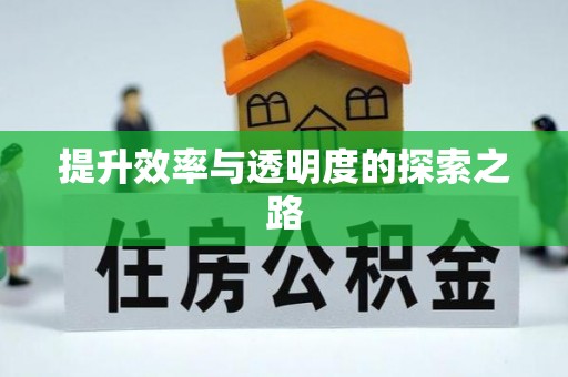 乐安提升效率与透明度的探索之路