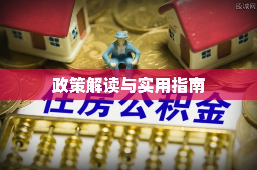 乐安政策解读与实用指南
