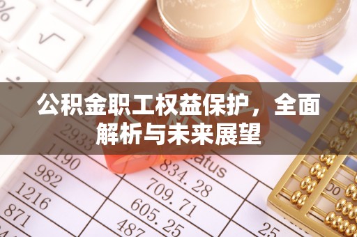 乐安公积金职工权益保护，全面解析与未来展望