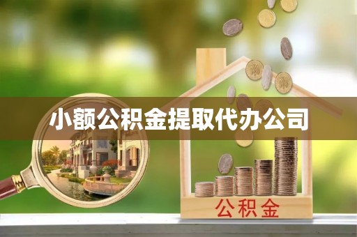 乐安小额公积金提取代办公司