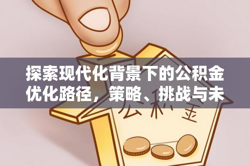 乐安探索现代化背景下的公积金优化路径，策略、挑战与未来展望