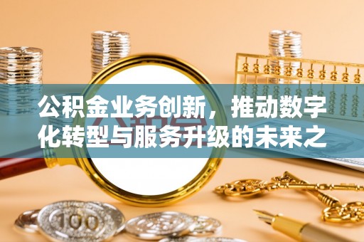 乐安公积金业务创新，推动数字化转型与服务升级的未来之路