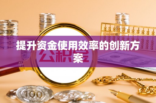 乐安提升资金使用效率的创新方案