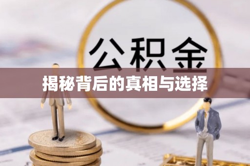 乐安揭秘背后的真相与选择