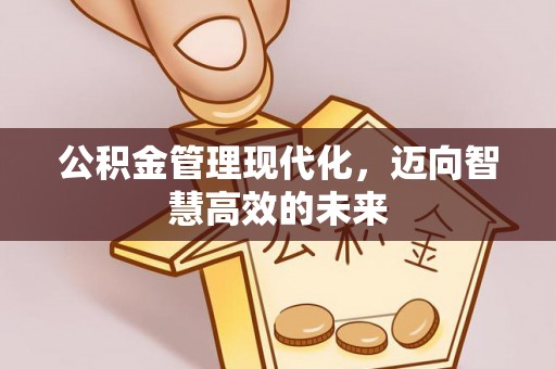乐安公积金管理现代化，迈向智慧高效的未来