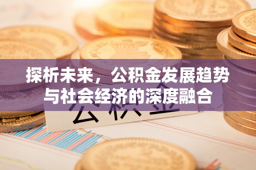 乐安探析未来，公积金发展趋势与社会经济的深度融合