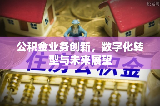 乐安公积金业务创新，数字化转型与未来展望