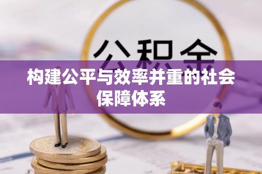 乐安构建公平与效率并重的社会保障体系