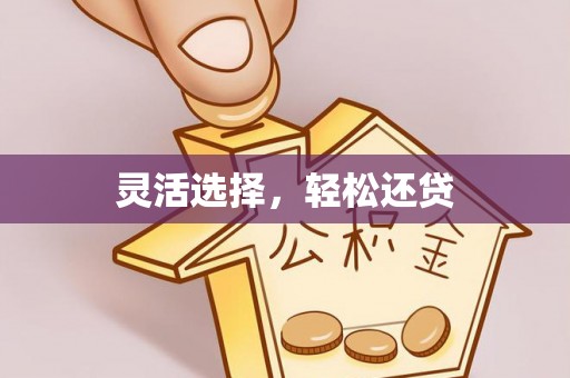 乐安灵活选择，轻松还贷