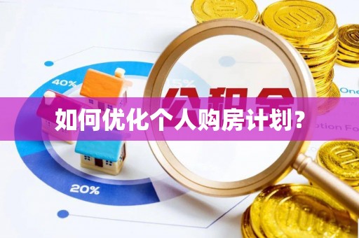 乐安如何优化个人购房计划？