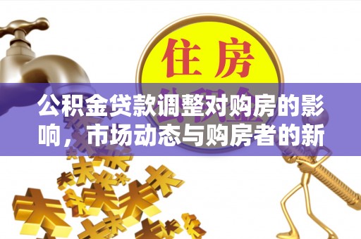 乐安公积金贷款调整对购房的影响，市场动态与购房者的新选择