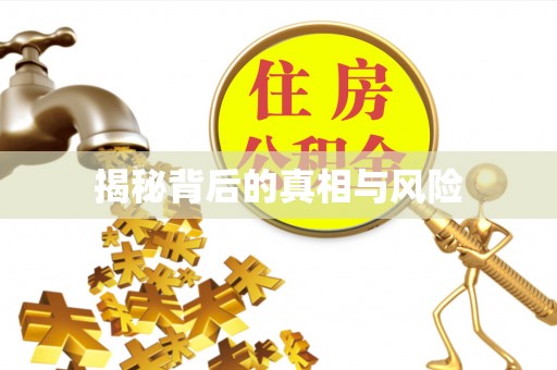 乐安揭秘背后的真相与风险