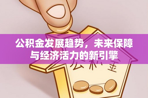 乐安公积金发展趋势，未来保障与经济活力的新引擎