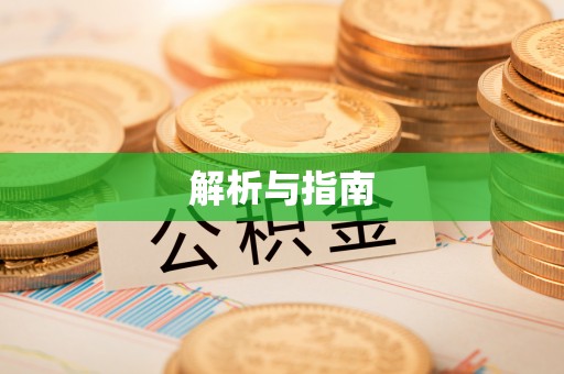 乐安解析与指南