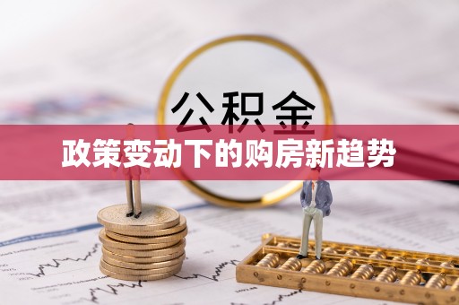乐安政策变动下的购房新趋势