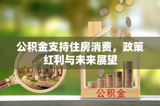 乐安公积金支持住房消费，政策红利与未来展望