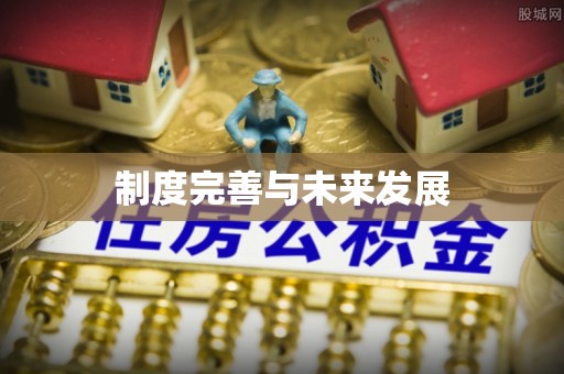 乐安制度完善与未来发展