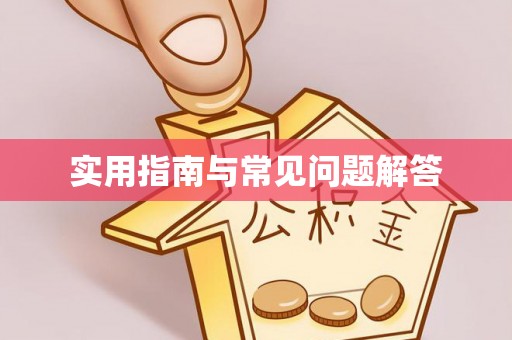 乐安实用指南与常见问题解答