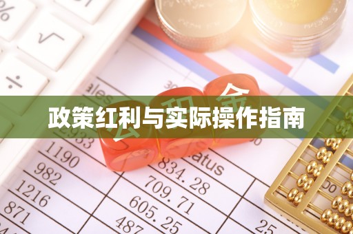 乐安政策红利与实际操作指南
